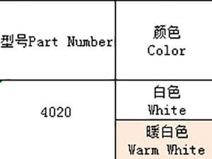 4028（全彩、ICRGB）系列